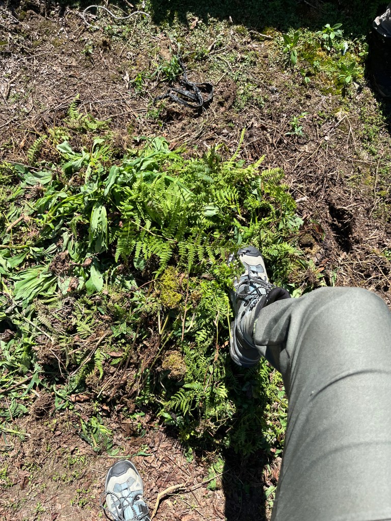A victorious stomp on a pile of weeds