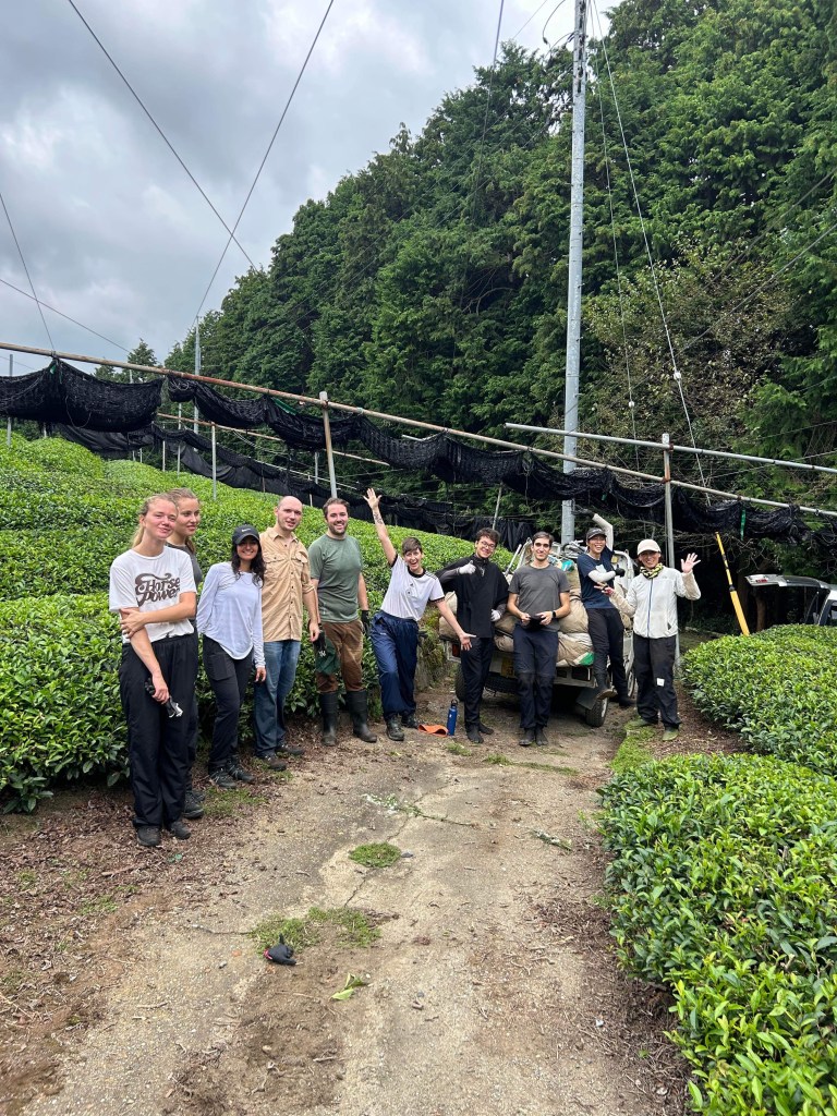 Group photo of interns, assistant managers, and staff after harvest