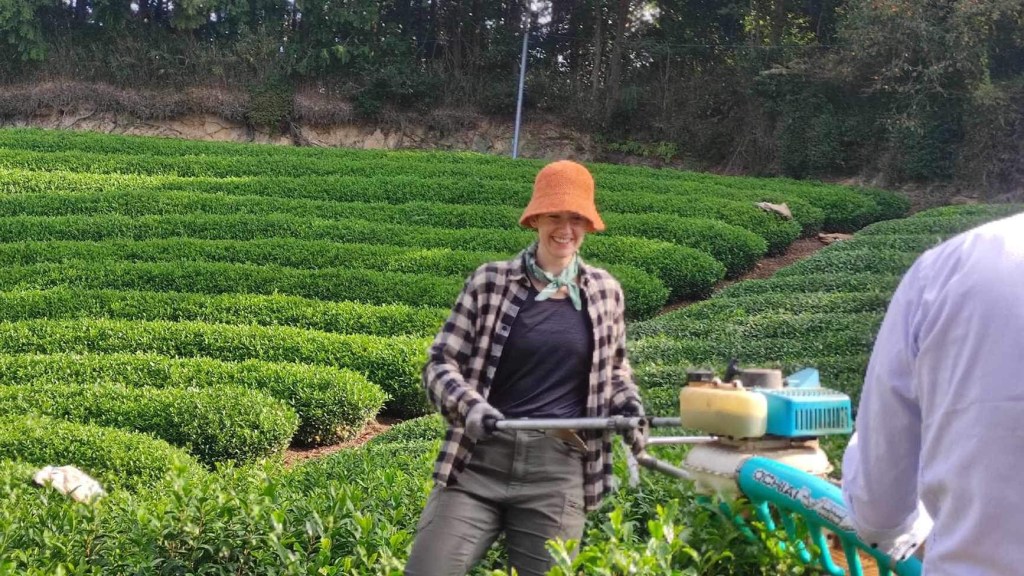 Maren harvesting at Erihara
