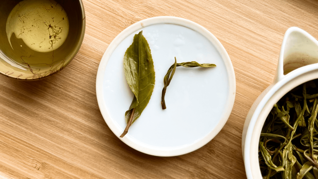 Sun buds: Handmaking green&nbsp;tea