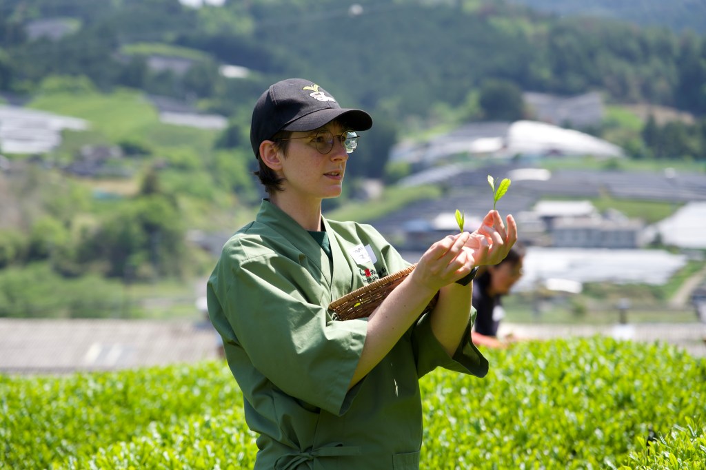 Maren holds two different sets of tea leaves to demonstrate picking grades, with tea fields in the background